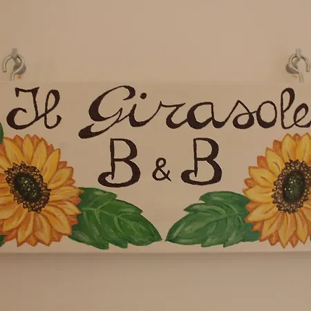 Affittacamere Il Girasole Pontevico