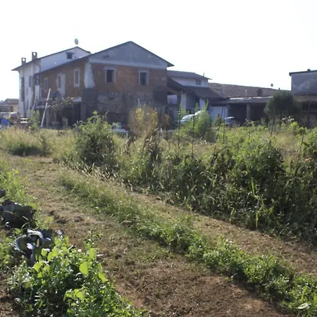 住宿加早餐酒店 Affittacamere Il Girasole Pontevico