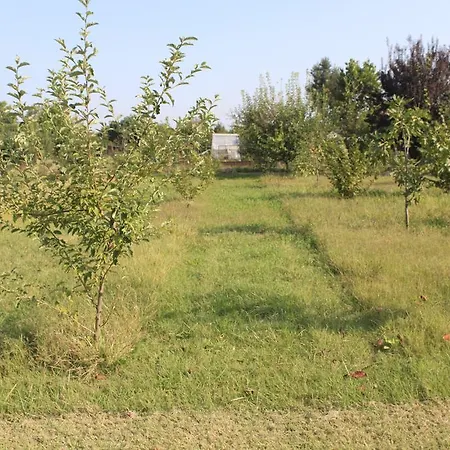 Affittacamere Il Girasole Pontevico