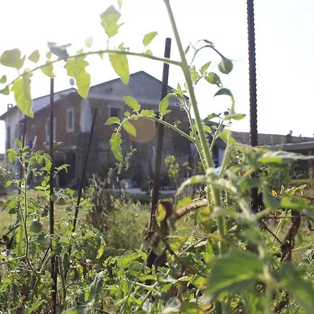 Affittacamere Il Girasole Pontevico