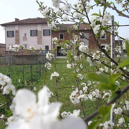 Affittacamere Il Girasole 住宿加早餐酒店 *